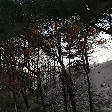 Piaskowe 로비