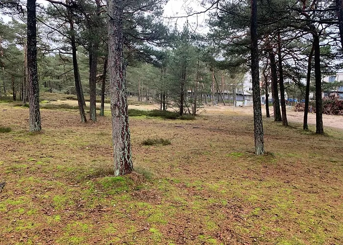 Piaskowe Apartament *