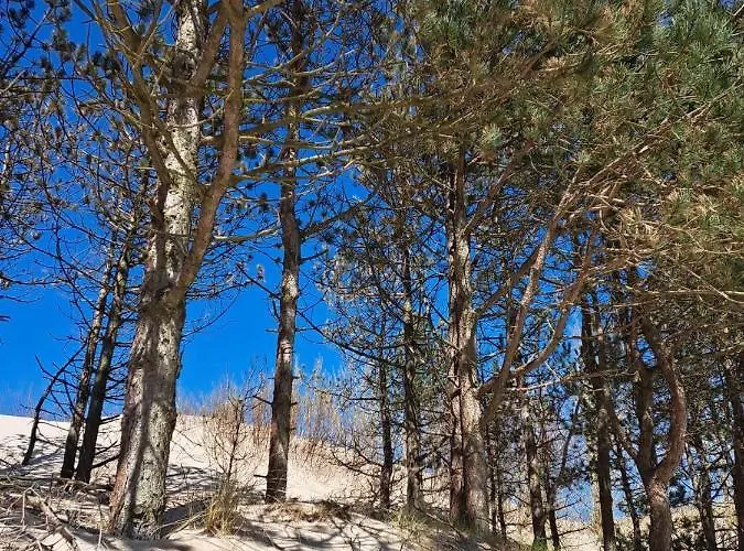 Piaskowe Apartament *