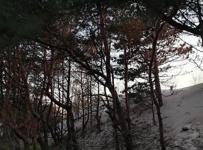 Piaskowe Rowy (Pomerania)